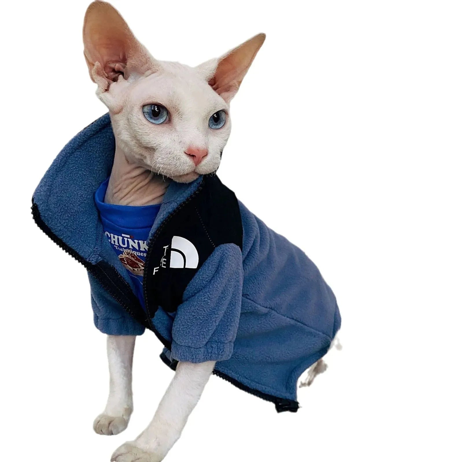 Hairless Cat Clothes Warm Pet Cat Clothes - Bellarte Enchanté Hairless Cat Clothes Warm Pet Cat Clothes